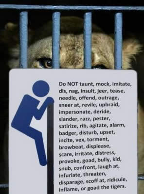 Do not… the tigers