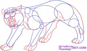 How to draw a saber-tooth cat