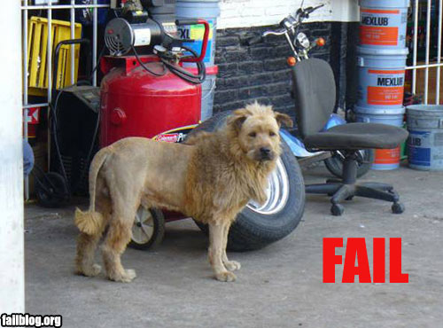 Lion fail