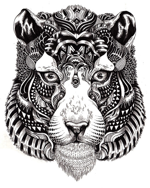 Hand-drawn big cat by Iain MacArthur