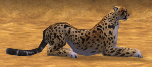 King cheetah, in Zoo Tycoon 2