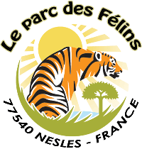 Parc des Félins – visite guidée