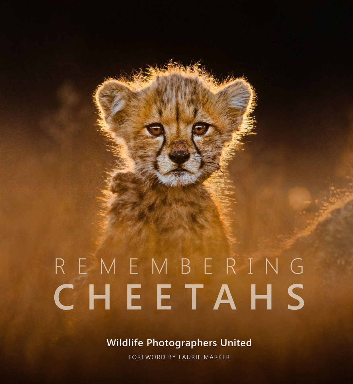 Remembering cheetahs (cover)